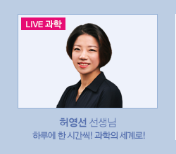 허영선